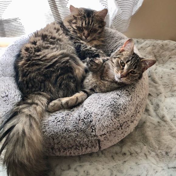 Meet your Posher, Kim - Picture 14 of 15